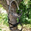 Sidepull Baroque