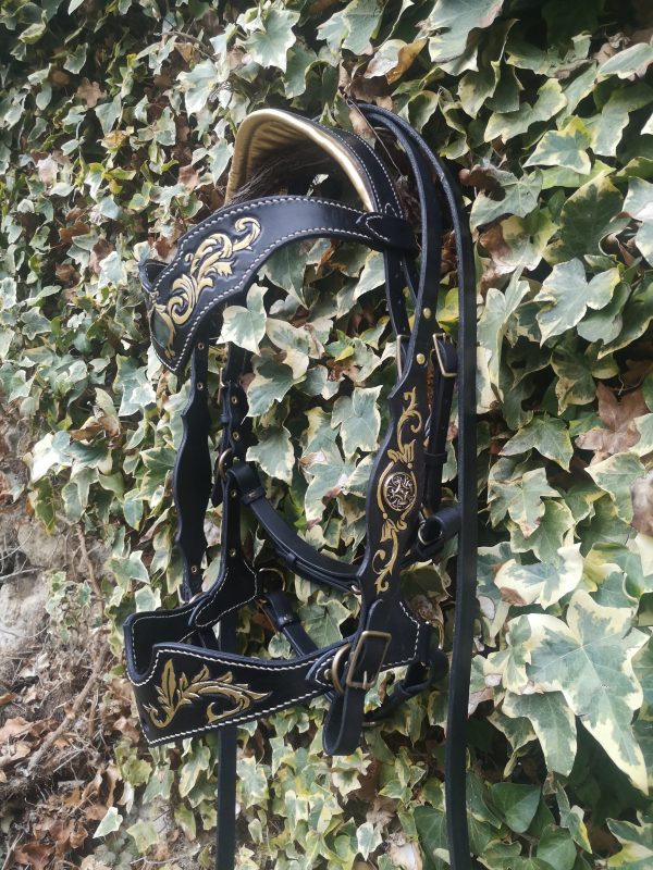 IMG_20240207_172551 Sidepull Baroque