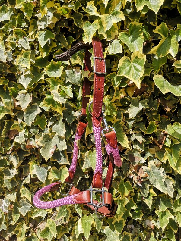 Licol Corde semi-mesure