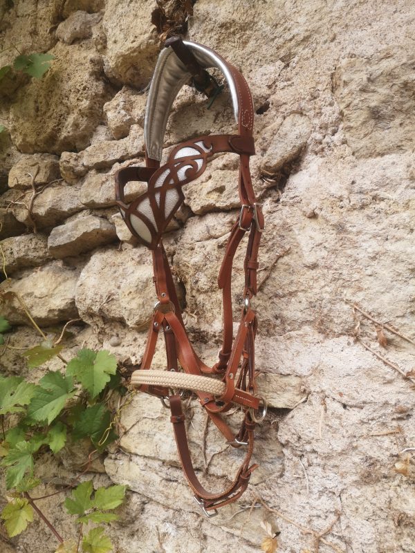 Sidepull