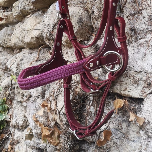 muserolle sidepull corde semi-mesure