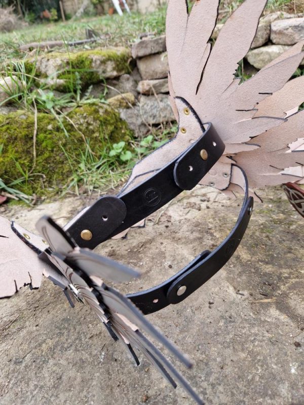 622489333_4213850978828977_4088776636294635683_n Diadème Valkyrie