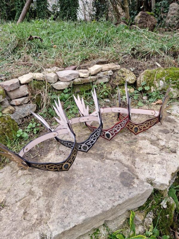 622561928_1291704929453754_8614451317329589531_n Diadème Valkyrie