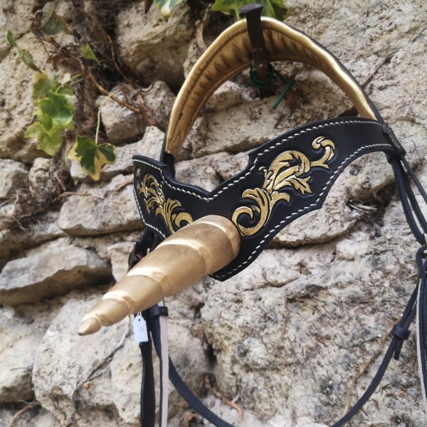 Frontal Licorne