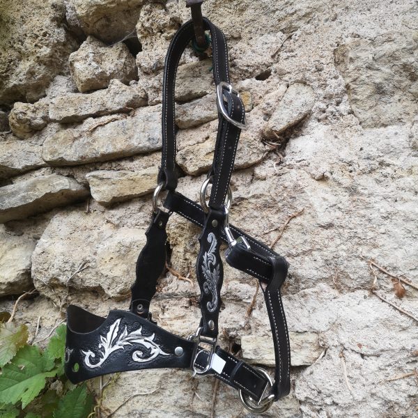 IMG_20250821_180458 Licol Décoration Ancienne Collection