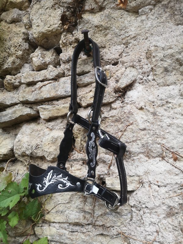 Licol Décoration Ancienne Collection