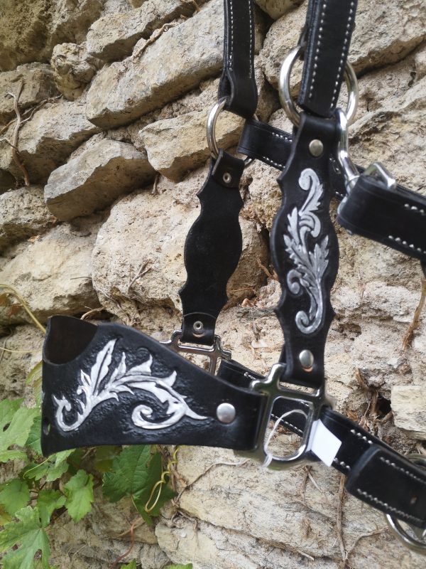 Licol Décoration Ancienne Collection