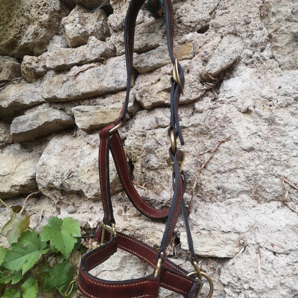 IMG_20250821_180517 Licol Cuir Ancienne Collection