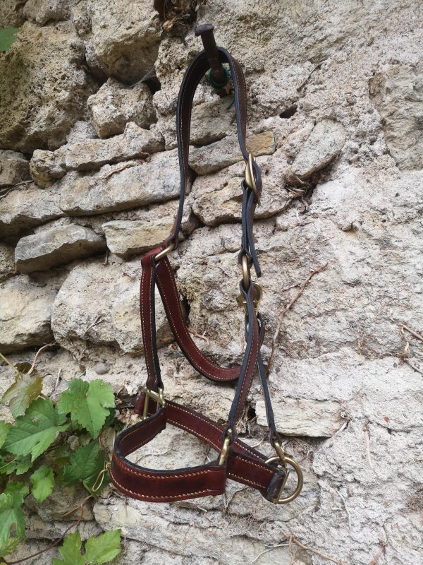 Licol Cuir Ancienne Collection