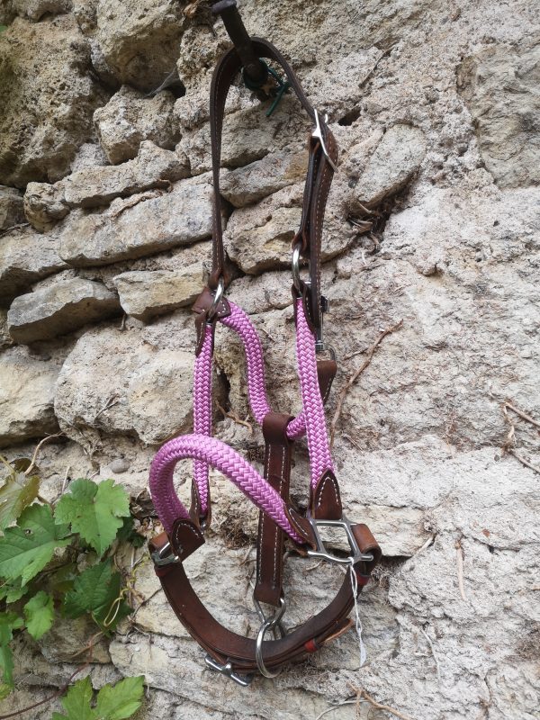 Licol Corde Ancienne Collection