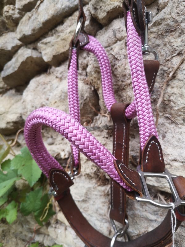 Licol Corde Ancienne Collection