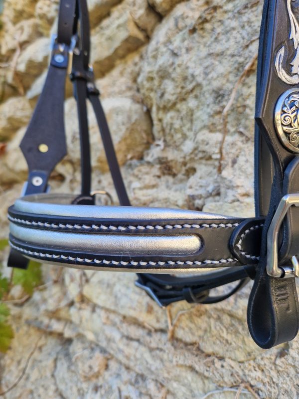 20260424_175234 Filet Licorne Insert